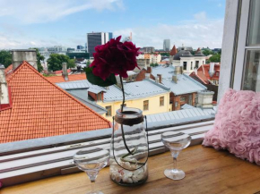 Cozy oldtown studio with magnific city view in Tallinn